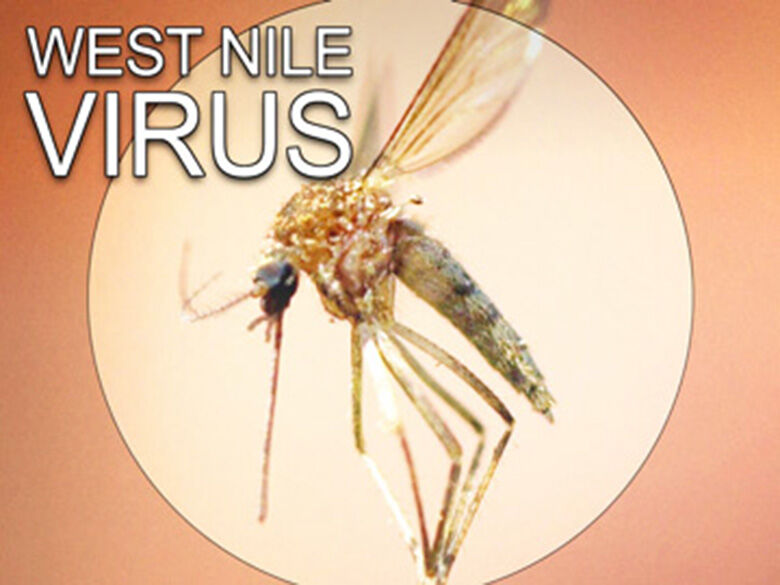 Health Department detects West Nile in mosquito population near Hillsboro
